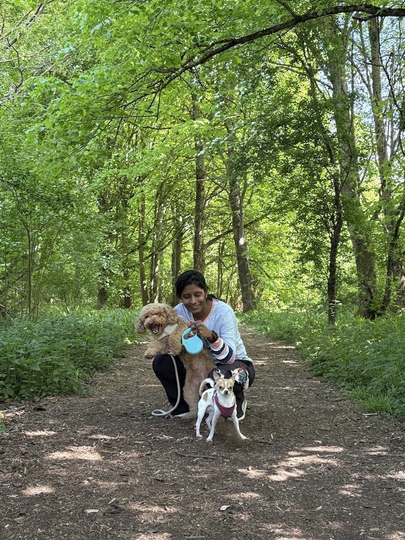 Stonehenge with Alley and Angry